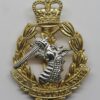 Royal Army Dental Corps (R.A.D.C.) Anodised (Staybrite) Cap Badge - Queen's Crown