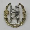 Queen's Own Warwickshire & Worcestershire Yeomanry Anodised (Staybrite) Cap Badge