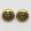 Pair of Hampshire Regiment Officer's Cap Buttons