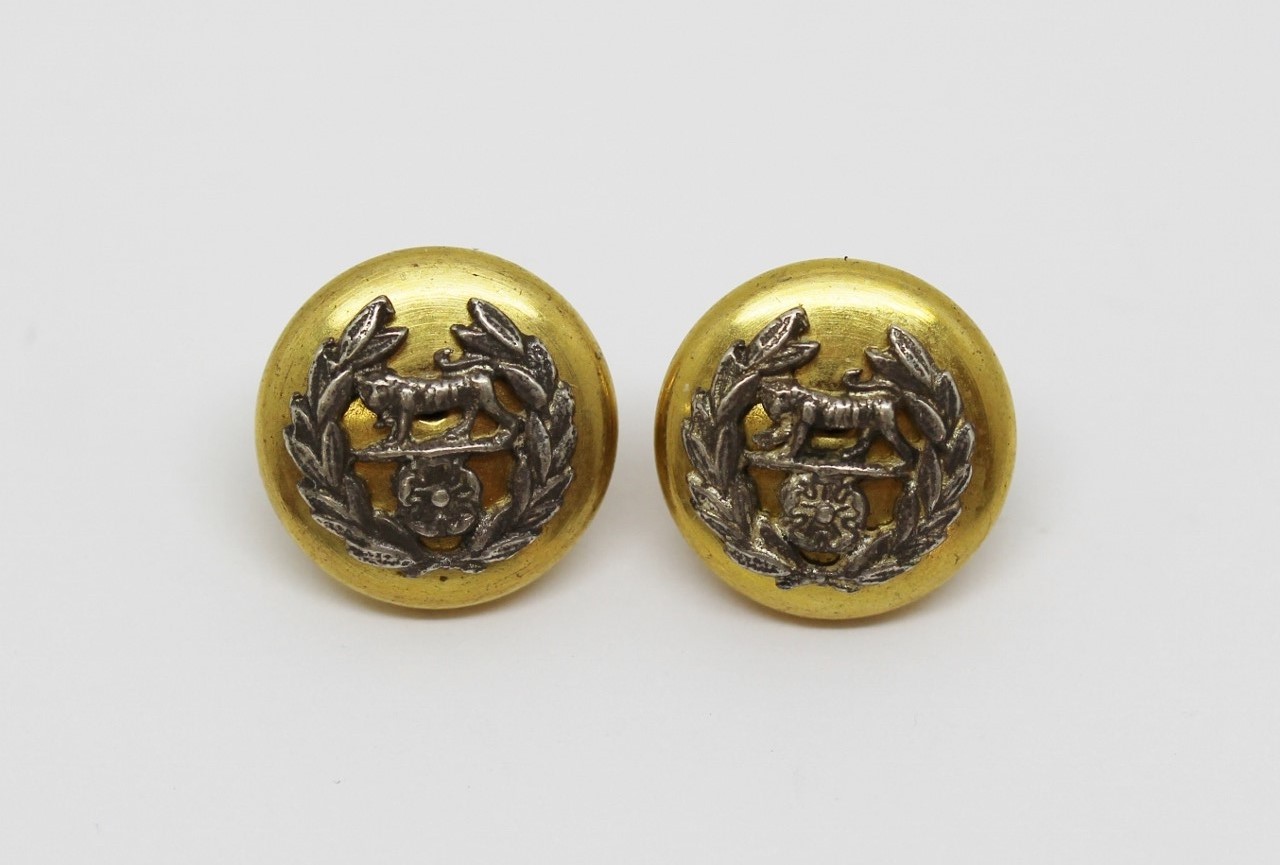 Pair of Hampshire Regiment Officer's Cap Buttons