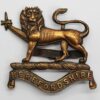 Herefordshire Regiment Officer's Service Dress Cap Badge