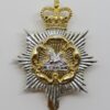 Gloucestershire & Hampshire Regiment Anodised (Staybrite) Cap Badge - Queen's Crown