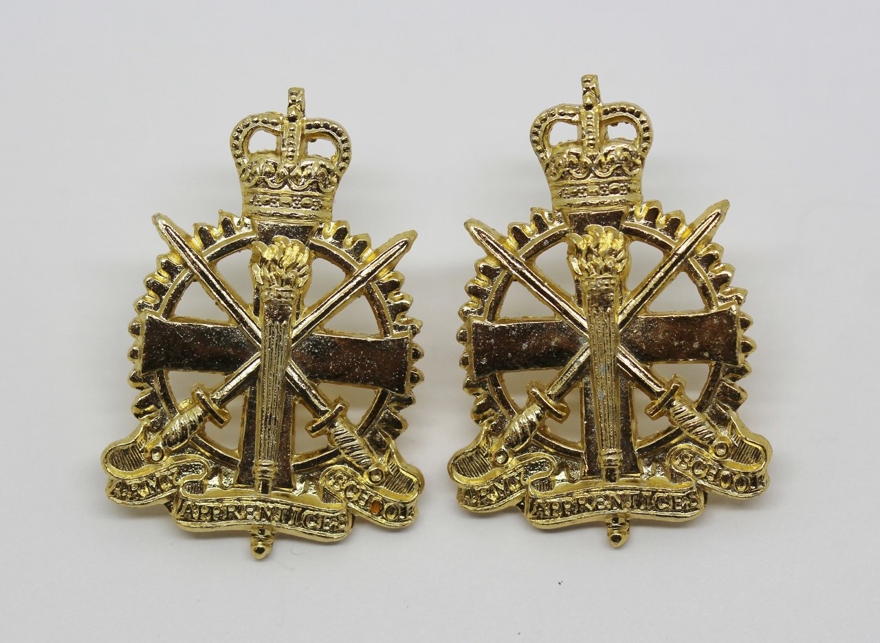 Pair of Army Apprentices School Anodised (Staybrite) Collar Badges
