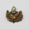 Cheshire Regiment Collar Badge