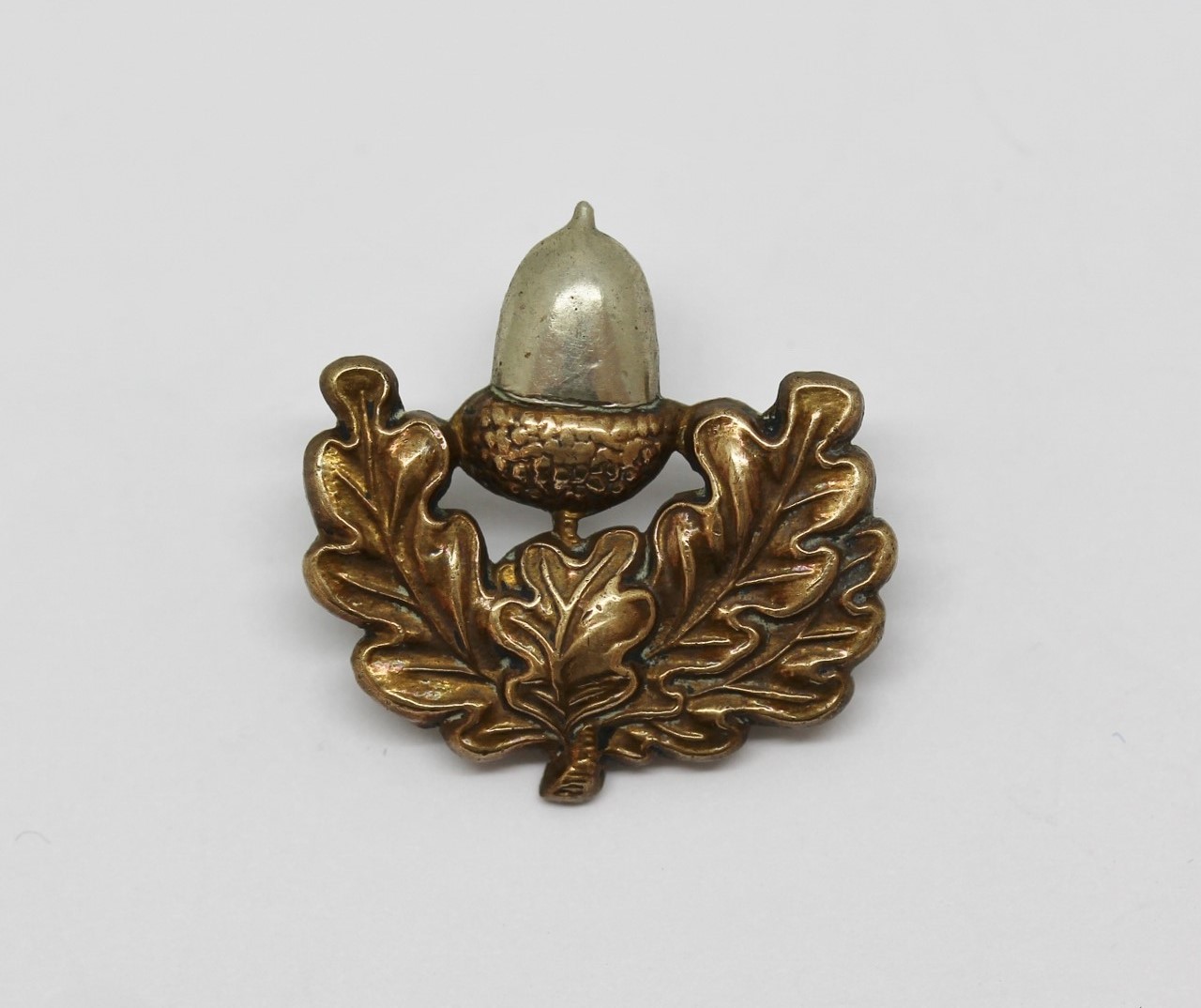 Cheshire Regiment Collar Badge