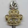 Royal Army Educational Corps (R.A.E.C.) Anodised (Staybrite) Cap Badge