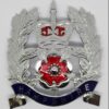 Hampshire Constabulary Sergeants Helmet Plate - Queens Crown