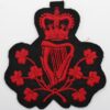 Royal Ulster Constabulary (R.U.C.) Head Constable's Great Coat Arm Badge