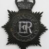 Hampshire & Isle of Wight Police Night Helmet Plate  - Queen's Crown