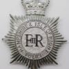 Hampshire & Isle of Wight Police Helmet Plate - Queen's Crown