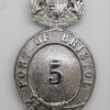 Port of Bristol Police (5) Helmet Plate